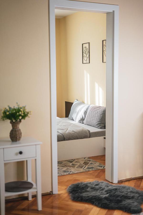 Central And Modern Apartment With Free Parking Τιμισοάρα Εξωτερικό φωτογραφία