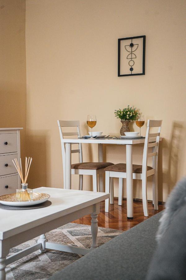 Central And Modern Apartment With Free Parking Τιμισοάρα Εξωτερικό φωτογραφία