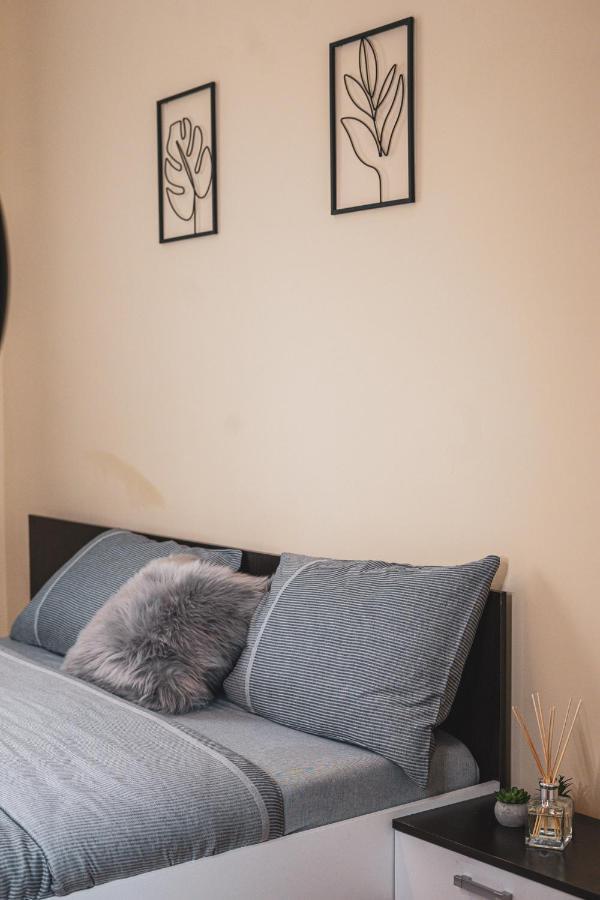 Central And Modern Apartment With Free Parking Τιμισοάρα Εξωτερικό φωτογραφία