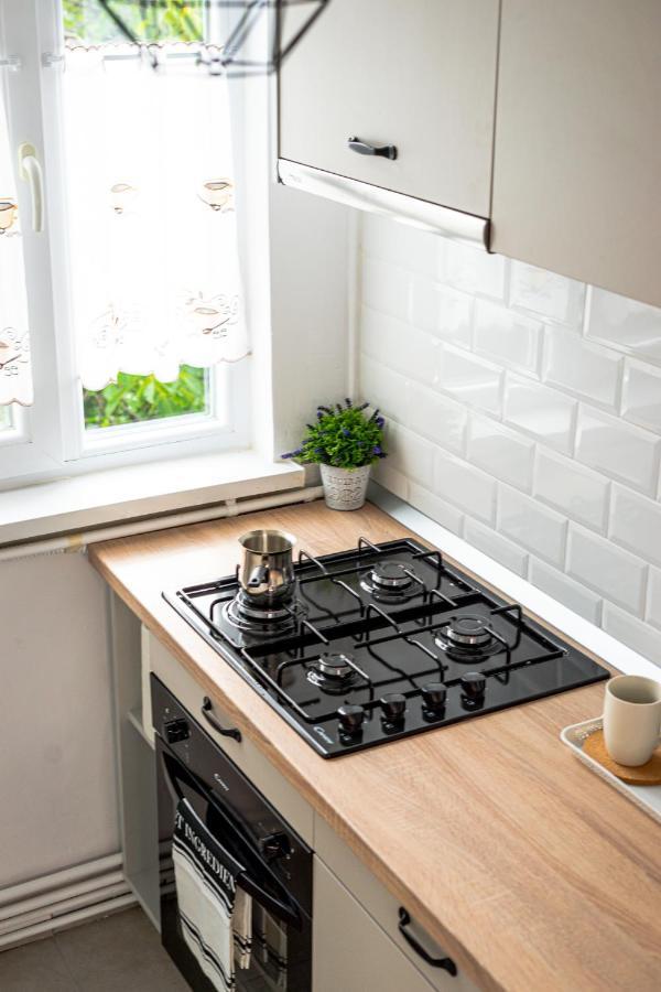 Central And Modern Apartment With Free Parking Τιμισοάρα Εξωτερικό φωτογραφία